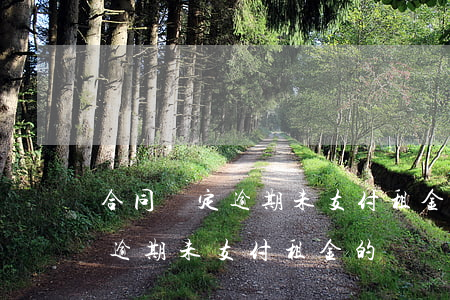 合同約定逾期未支付租金的違約-合同約定逾期未支付租金的違約金怎么算