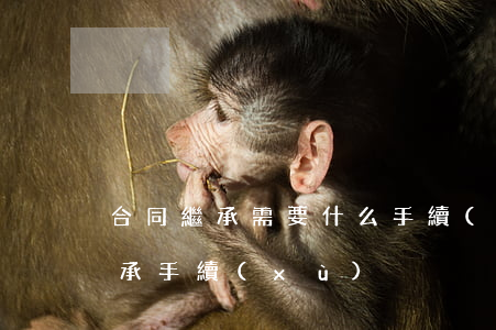 合同繼承需要什么手續(xù)(怎樣辦理繼承手續(xù))