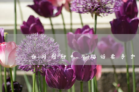 合同纠纷4万起诉要多少钱