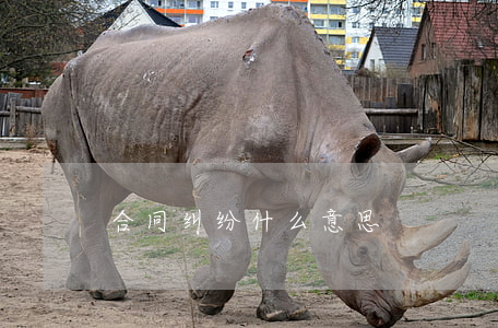 合同纠纷什么意思