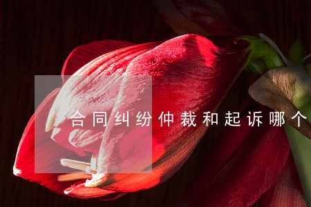 合同纠纷仲裁和起诉哪个好