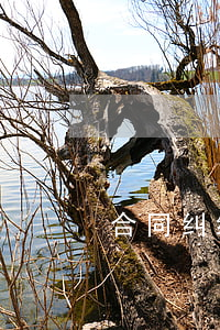 合同纠纷和民事侵权有什么区别