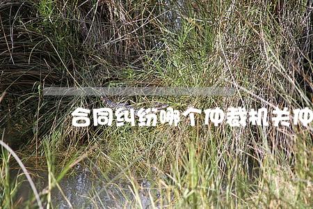 合同纠纷哪个仲裁机关仲裁