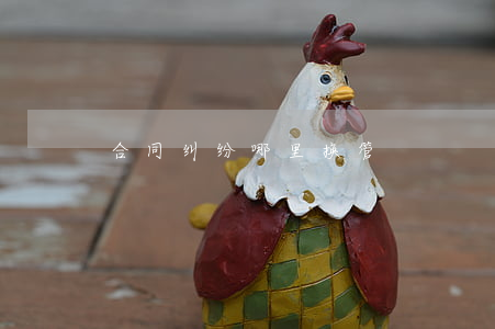 合同纠纷哪里换管