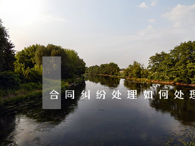 合同纠纷处理如何处理(合同案纠纷怎么处理)