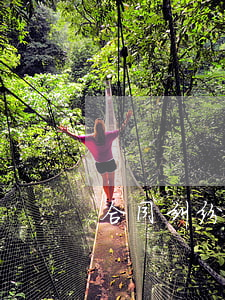 合同纠纷如何处理起诉状