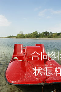 合同纠纷如何处理起诉状(合同纠纷民事上诉状怎样写)