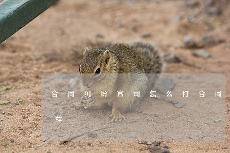 合同纠纷官司怎么打(合同纠纷官司输了会怎样)