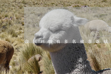 合同纠纷有多名被告诉状怎么写