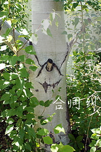 合同纠纷欠款怎么写诉讼状