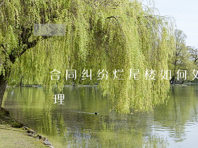 合同纠纷烂尾楼如何处理(烂尾楼一般怎么处理)
