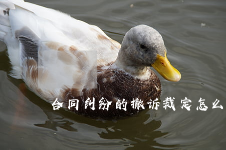合同纠纷的撤诉裁定怎么写
