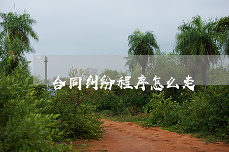 合同纠纷程序怎么走