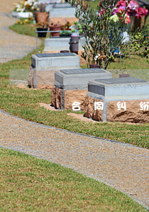 合同纠纷诉讼流程要多久