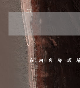 合同纠纷调解是哪个部门