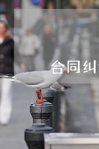 合同纠纷购房合同丢了如何补救