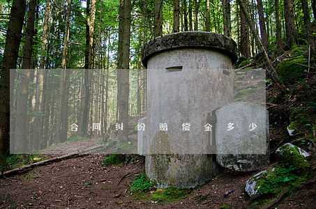 合同纠纷赔偿金多少