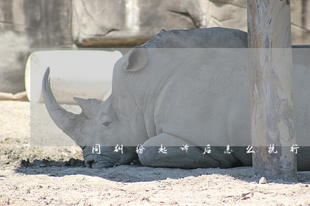 合同纠纷起诉后怎么执行