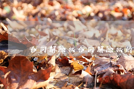 合同解除权(合同解除权的除斥期间)