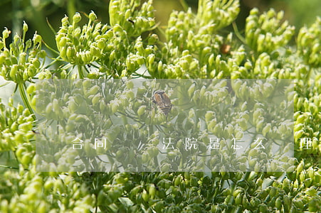 合同訴訟法院是怎么處理的