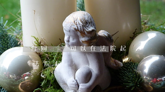 合同詐騙可以在法院起訴嗎(詐騙可以直接向法院起訴嗎)