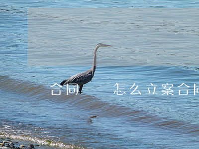 合同詐騙怎么立案(合同詐騙怎么立案)