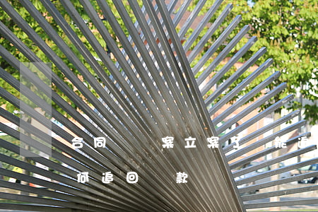 合同詐騙案立案了錢能追回來嗎(合同詐騙如何追回錢款)