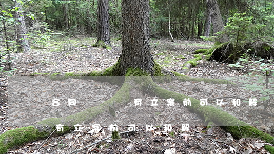 合同詐騙沒有立案前可以和解嗎(合同詐騙沒有立案前可以和解嗎)