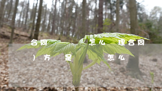 合同詐騙糾紛怎么處理(合同糾紛對(duì)方說是詐騙該怎么辦)