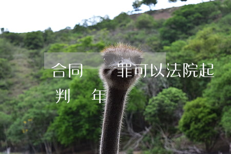 合同詐騙罪可以法院起訴嗎(合同詐騙罪最高判幾年?)