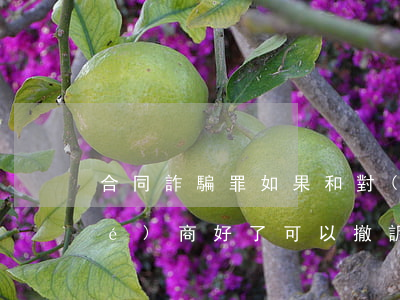 合同詐騙罪如果和對(duì)方協(xié)商好了可以撤訴嗎(合同詐騙罪如果和對(duì)方協(xié)商好了可以撤訴嗎)