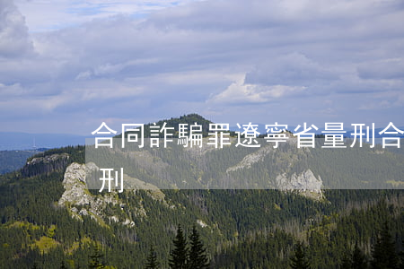 合同詐騙罪遼寧省量刑(合同詐騙罪遼寧省量刑)