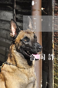 合同詐騙起訴書(shū)格式范文