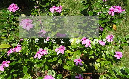 合同貨款逾期打官司費(fèi)用多少