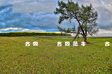 合同買賣合同范本(買賣合同協(xié)議)