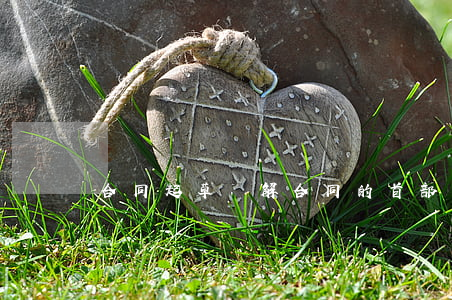合同起草詳解：合同的首部