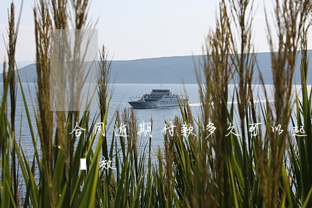 合同逾期付款多久可以起訴(逾期付款的訴訟時效)
