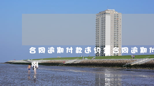 合同逾期付款违约金(合同逾期付款违约金案例)