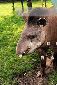 合同逾期利率最高不能超過(guò)多少-買賣合同逾期利息最高不能超過(guò)多少