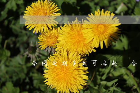 合同逾期多久可以起訴 合同逾期多久可以起訴