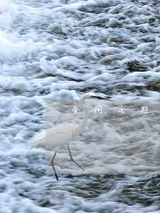 合同逾期責(zé)任(合同 逾期)