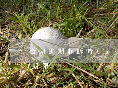 合同逾期起訴時(shí)效(合同違約上訴期限)