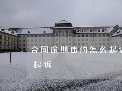 合同逾期违约怎么起诉-合同逾期多久可以起诉