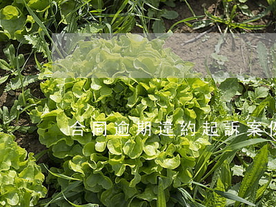 合同逾期違約起訴案例(合同 逾期)