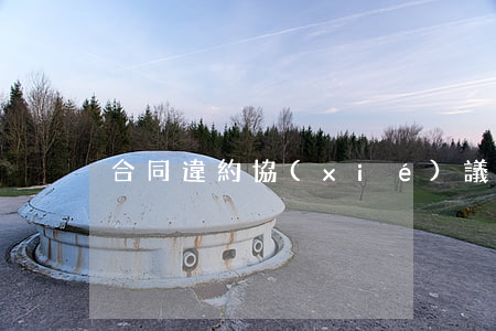 合同違約協(xié)議(合同雙方違約)