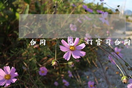合同違約怎樣打官司(合同糾紛要打官司)