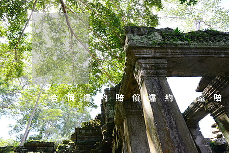 合同違約賠償違約金還賠付利息嗎
