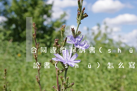 合同違約起訴書(shū)范文(合同違約訴訟書(shū)怎么寫)