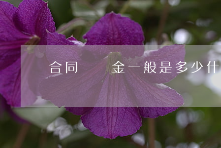 合同違約金一般是多少（什么是合同違約金）