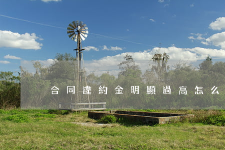 合同違約金明顯過高怎么辦